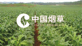 《團(tuán)體標(biāo)準(zhǔn)在煙農(nóng)專業(yè)合作社的建立與實(shí)施》煙草項目成果榮獲省級2019年度科學(xué)技術(shù)進(jìn)步獎二等獎